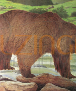 JVD_Animal_Face__509aabcfa9aee.jpg
