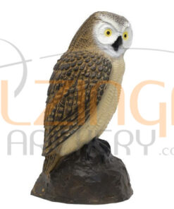 SRT Target 3D Little Screech Owl
