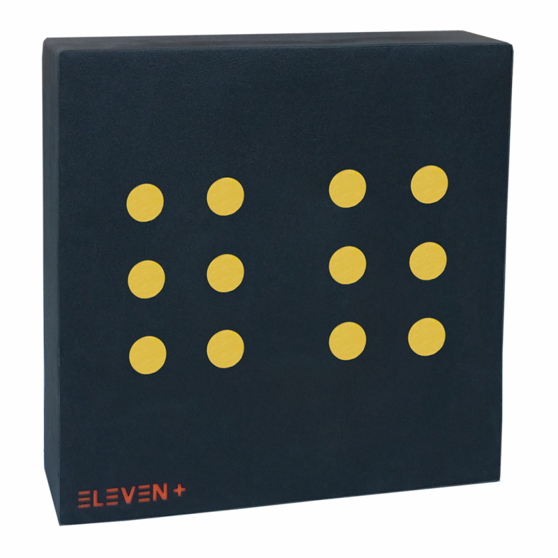 Eleven Target 100 x 100cm + 12 x 9.5cm Insert